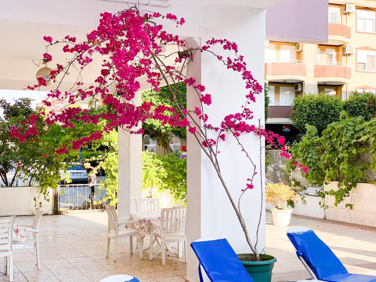 Bella Rose Hotel, 3* אלאניה